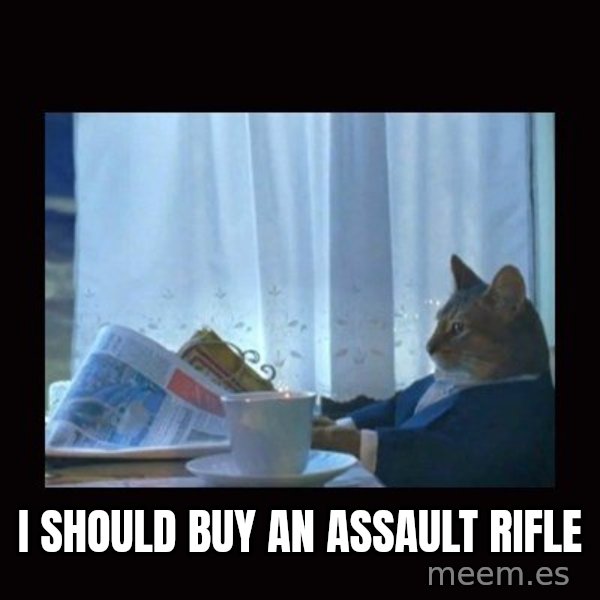 i should buy a boat cat meme: I SHOULD BUY AN     ASSAULT RIFLE