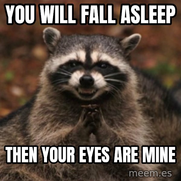 evil raccoon meme: YOU WILL FALL ASLEEP / THEN YOUR EYES ARE MINE
