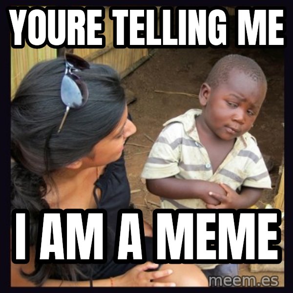 Skeptical 3rd World Kid meme: youre telling me / i am a meme