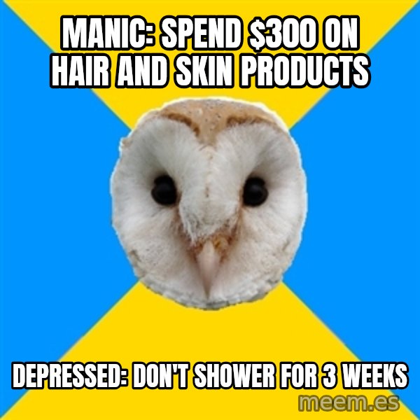 Bipolar Owl meme: Manic: spend $300 on hair and skin products / depressed: don't shower for 3 weeks