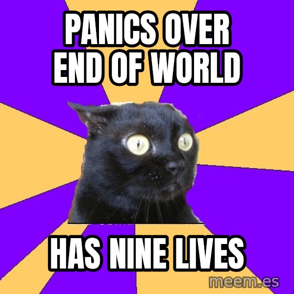 Anxiety Cat meme: Panics over end of world / has nine lives
