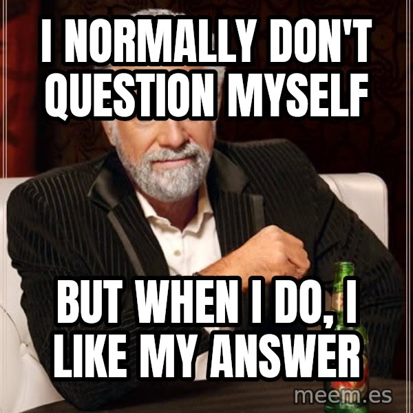 The Most Interesting Man In The World meme: i normally don't question myself / but when i do, I LIKE MY ANSWER