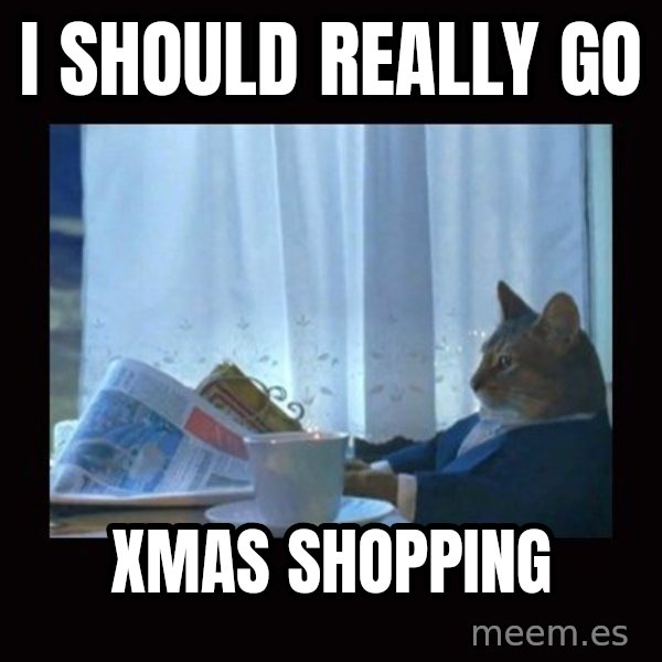i should buy a boat cat meme: I SHOULD REALLY GO / XMAS SHOPPING