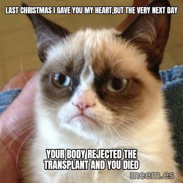 Grumpy Cat  meme: last christmas i gave you my heart,but the very next day / your body rejected the transplant and you died