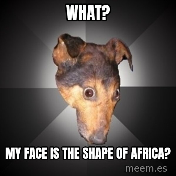Depression Dog meme: what? / my face is the shape of africa?