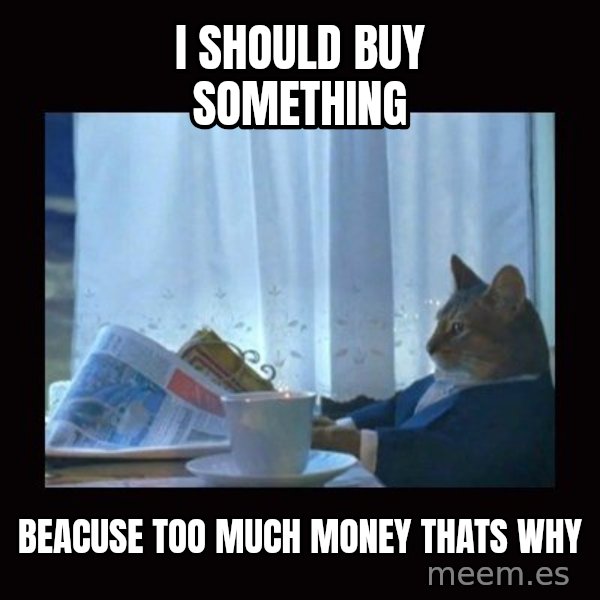 i should buy a boat cat meme: i should buy something / beacuse too much money thats why