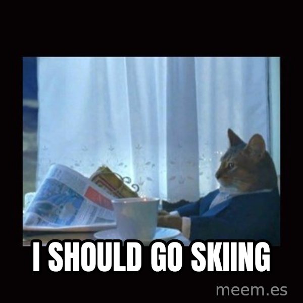 i should buy a boat cat meme: i should go skiing