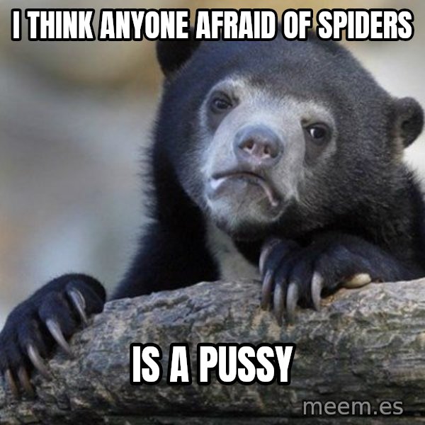 Confession Bear meme: i think anyone afraid of spiders / is a pussy