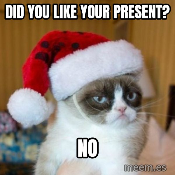 Grumpy Cat Santa Hat meme: Did you like your present? / no