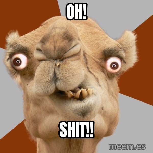 Crazy Camel lol meme: OH! / SHIT!!