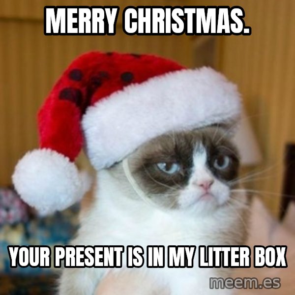 Grumpy Cat Santa Hat meme: merry christmas. / your present is in my litter box