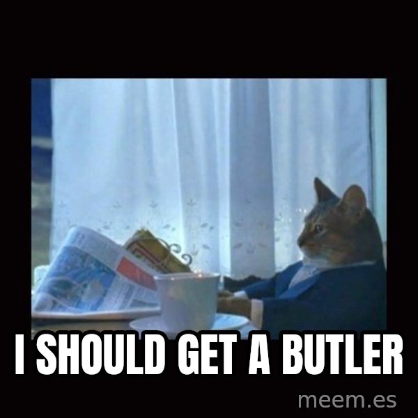 i should buy a boat cat meme: I should get a Butler