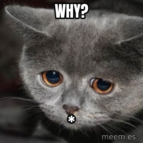 Sadcat meme: why? / *