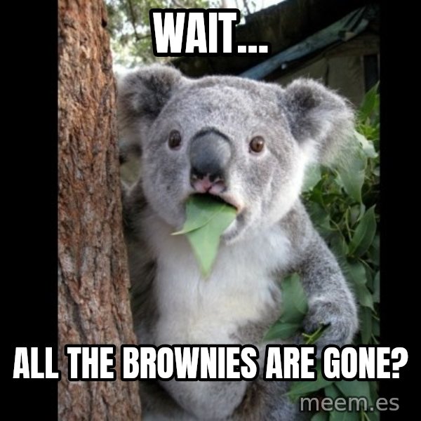 Koala can't believe it meme: Wait... / all the brownies are gone?