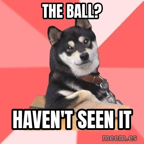 Cool Dog meme: the ball? / haven't seen it