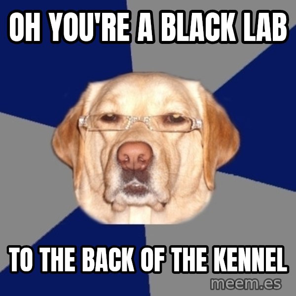 Racist Dawg meme: OH YOU'RE A BLACK LAB / TO THE BACK OF THE KENNEL