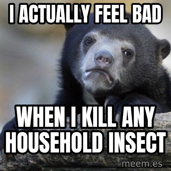 Confession Bear meme: I actually feel bad / when I kill any household insect