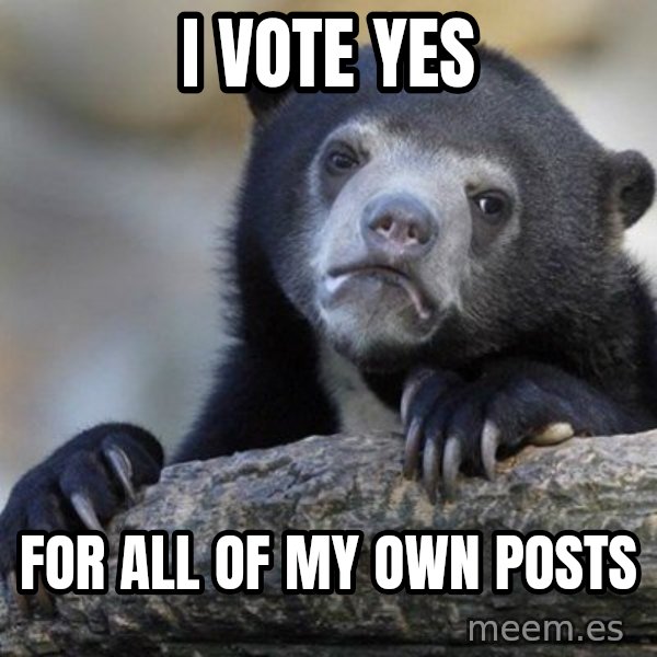 Confession Bear meme: I vote yes / For all of my own posts
