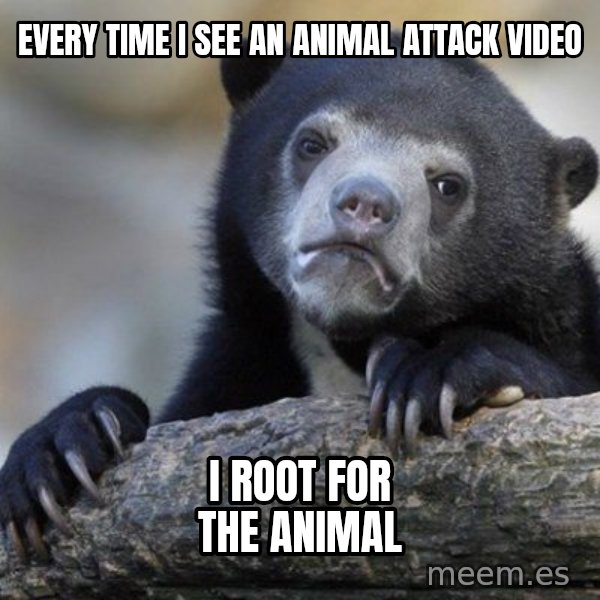 Confession Bear meme: Every time i see an animal attack video / i root for the animal