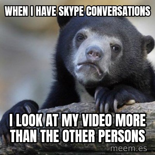 Confession Bear meme: When I have skype conversations / I look at my video more than the other persons