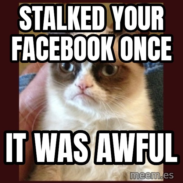 Grumpy Cat  meme: stalked your facebook once / it was awful
