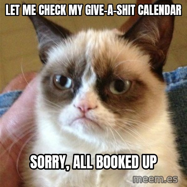 Grumpy Cat  meme: Let me check my Give-A-Shit Calendar / Sorry, All booked up