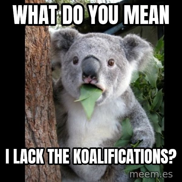 Koala can't believe it meme: what do you mean / i lack the koalifications?