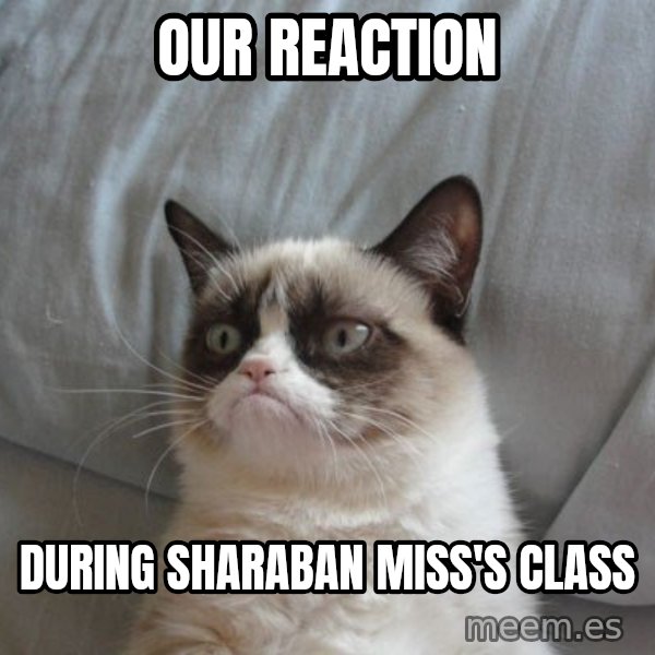 Grumpy cat good meme: OUR REACTION / DURING SHARABAN MISS'S CLASS