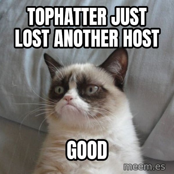 Grumpy cat good meme: Tophatter just lost another host / good