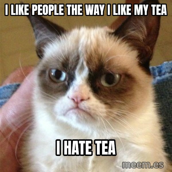 Grumpy Cat  meme: I LIKE PEOPLE THE WAY I LIKE MY TEA / I HATE TEA