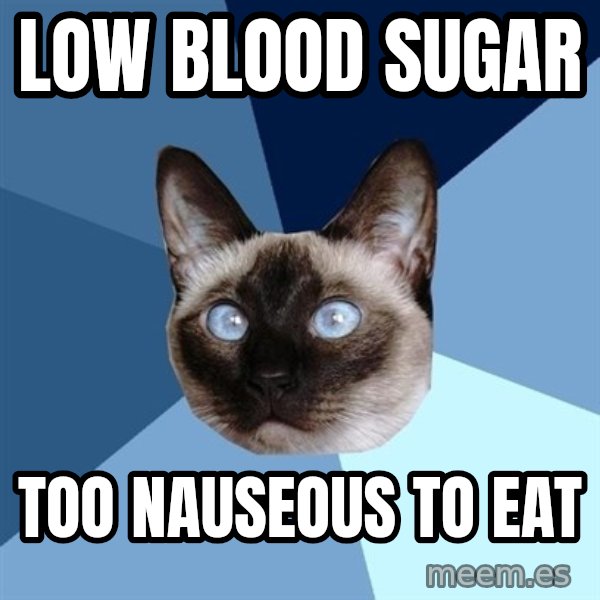Chronic Illness Cat meme: low blood sugar / too NAUSEOUS to eat