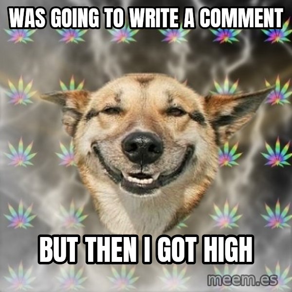 Stoner Dog meme: was going to write a comment / BuT THEN I GOT HIGH