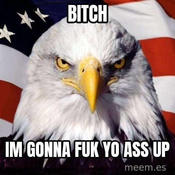 American Pride Eagle meme: Bitch / Im gonna fuk yo ass up