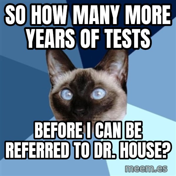 Chronic Illness Cat meme: So how many more years of tests / before I can be referred to Dr. House?