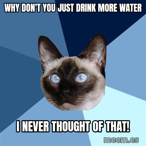 Chronic Illness Cat meme: Why don't you just drink more water / I never thought of that!