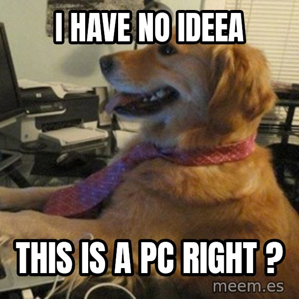 I have no idea what I'm doing - Dog with Tie meme: I HAVE NO IDEEA / THIS IS A PC RIGHT ?
