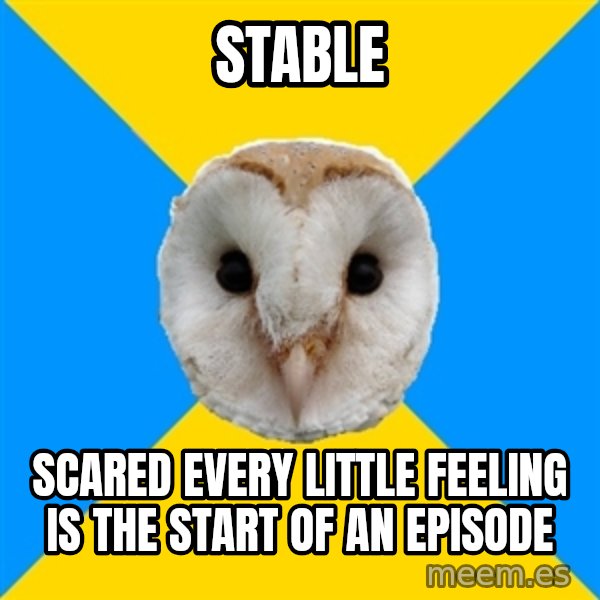 Bipolar Owl meme: stable / scared every little feeling is the start of an episode