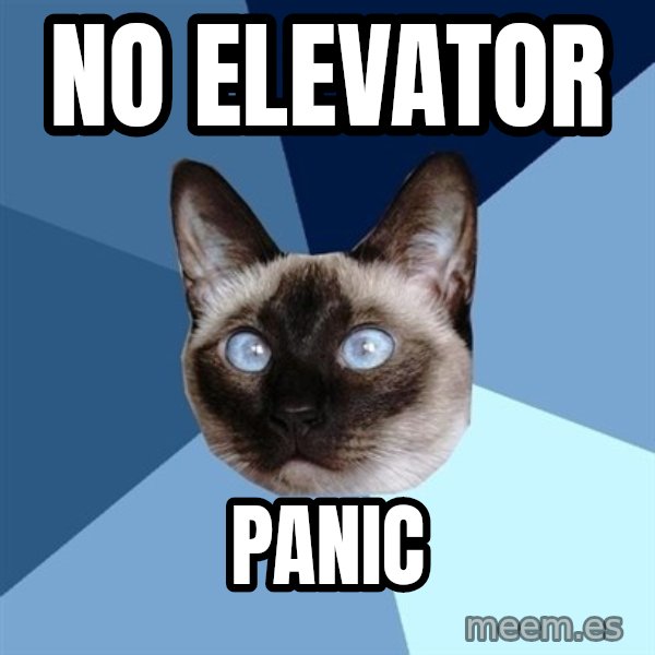 Chronic Illness Cat meme: No elevator / panic