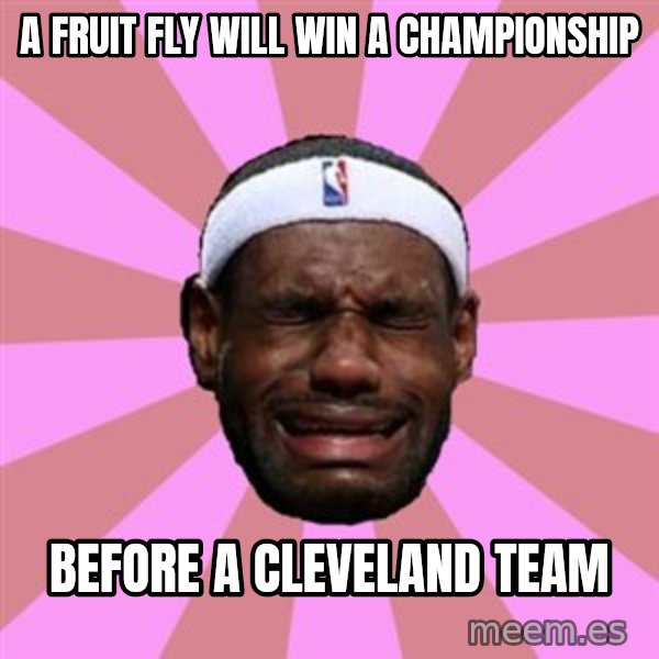 LeBron James meme: a fruit fly will win a CHAMPIONSHIP / before a cleveland team