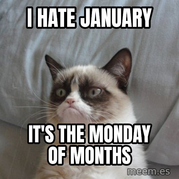 Grumpy cat good meme: I Hate january / it's the monday of months