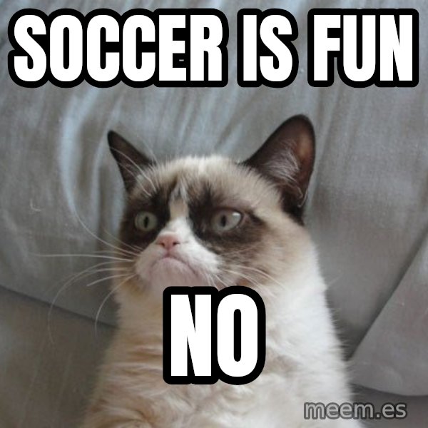 Grumpy cat good meme: SOCCER IS FUN / NO