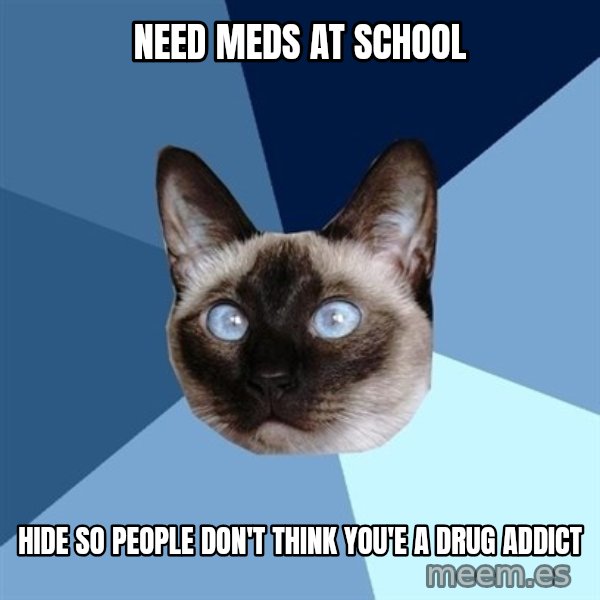 Chronic Illness Cat meme: need meds at school / hide so people don't think you'e a drug addict