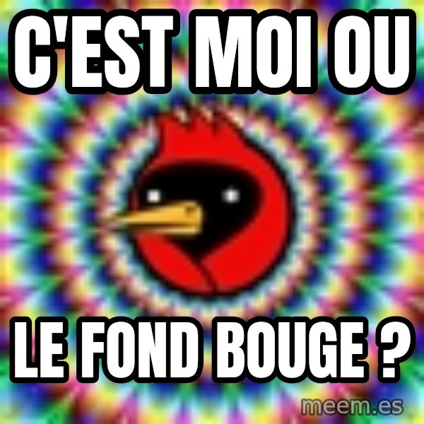 Omsk Crow meme: C'est moi ou / le fond bouge ?