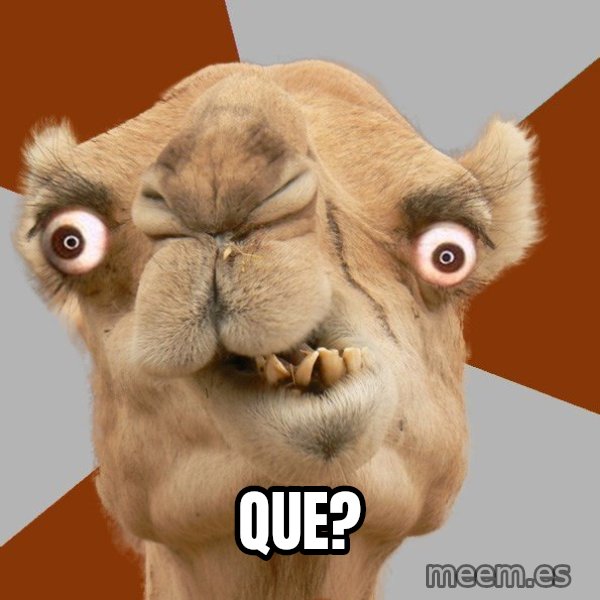 Crazy Camel lol meme: QUE?