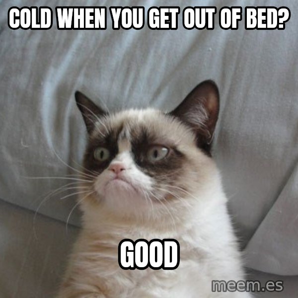 Grumpy cat good meme: Cold when you get out of bed? / good