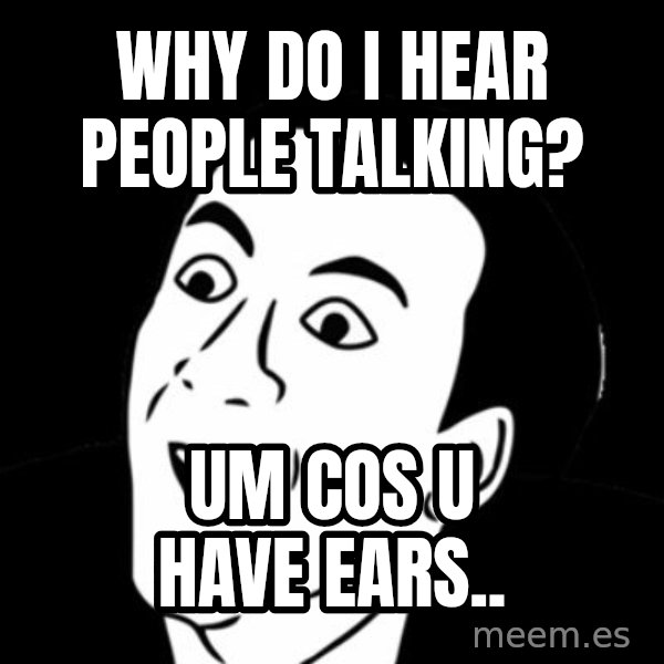 you don't say meme meme: WHY DO I HEAR PEOPLE TALKING? / UM COS U HAVE EARS..