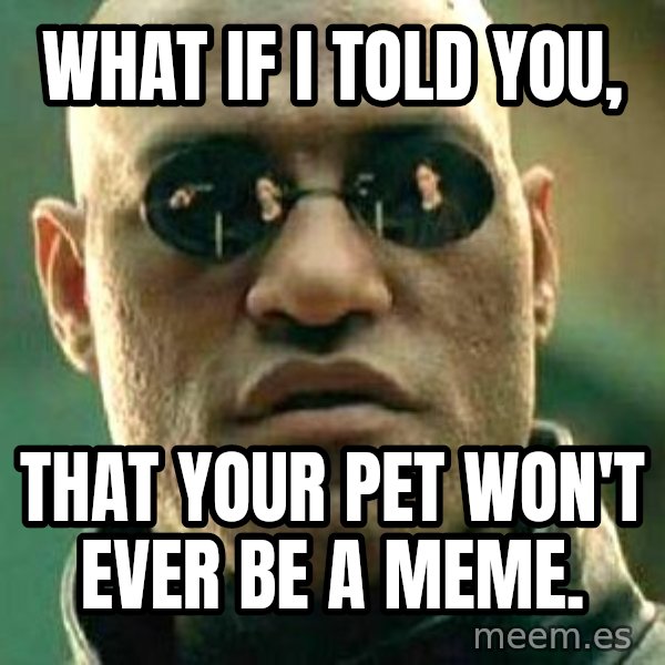 What if I told you / Matrix Morpheus meme: What if i told you, / That your pet won't ever be a meme.