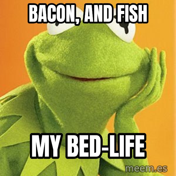 Kermit the frog meme: bacon, and fish / my bed-life