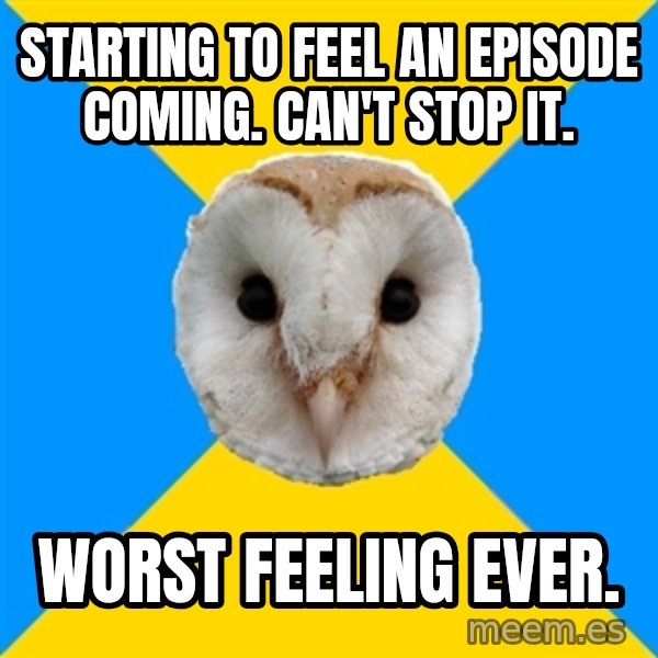 Bipolar Owl meme: Starting to feel an episode coming. can't stop it. / worst feeling ever.