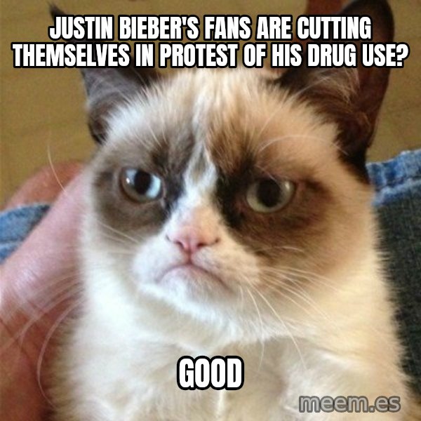 Grumpy Cat  meme: Justin Bieber's fans are cutting themselves in protest of his drug use? / good